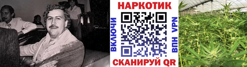 Названия наркотиков Йошкар-Ола COCAIN  МДМА  Канабис  ГАШИШ  A PVP 