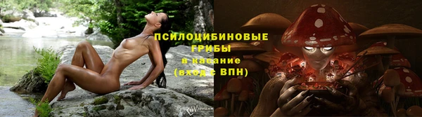 тгк Бородино