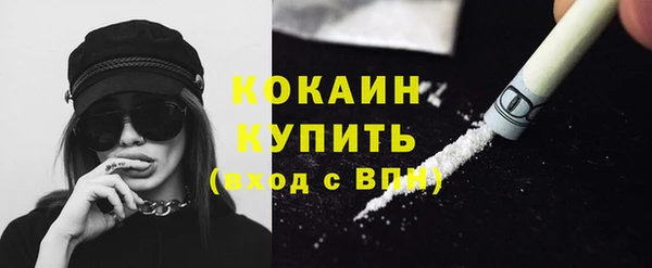 тгк Бородино