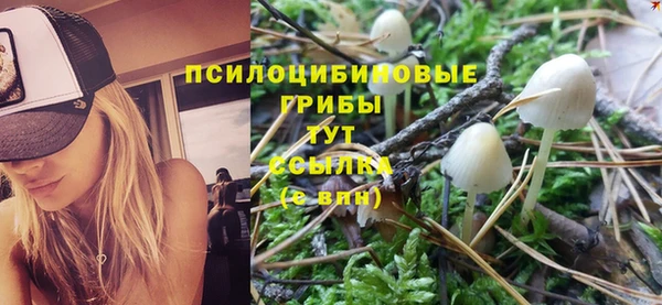 не бодяженный Богданович