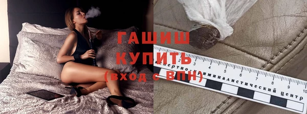 тгк Бородино