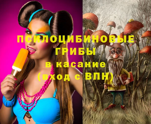 spice Бронницы